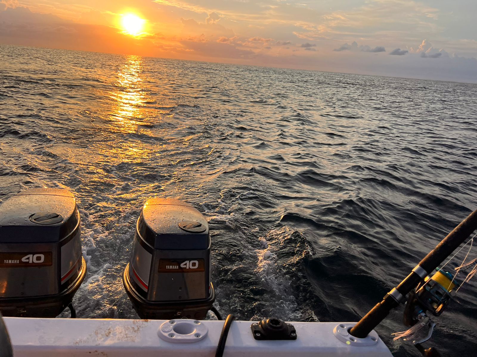 WhatsApp Image 2022-03-31 at 6.26.36 PM