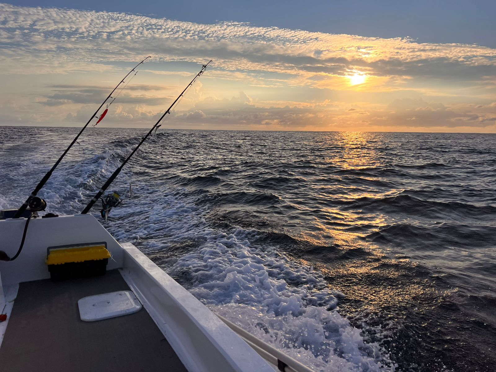 WhatsApp Image 2022-03-31 at 6.26.37 PM