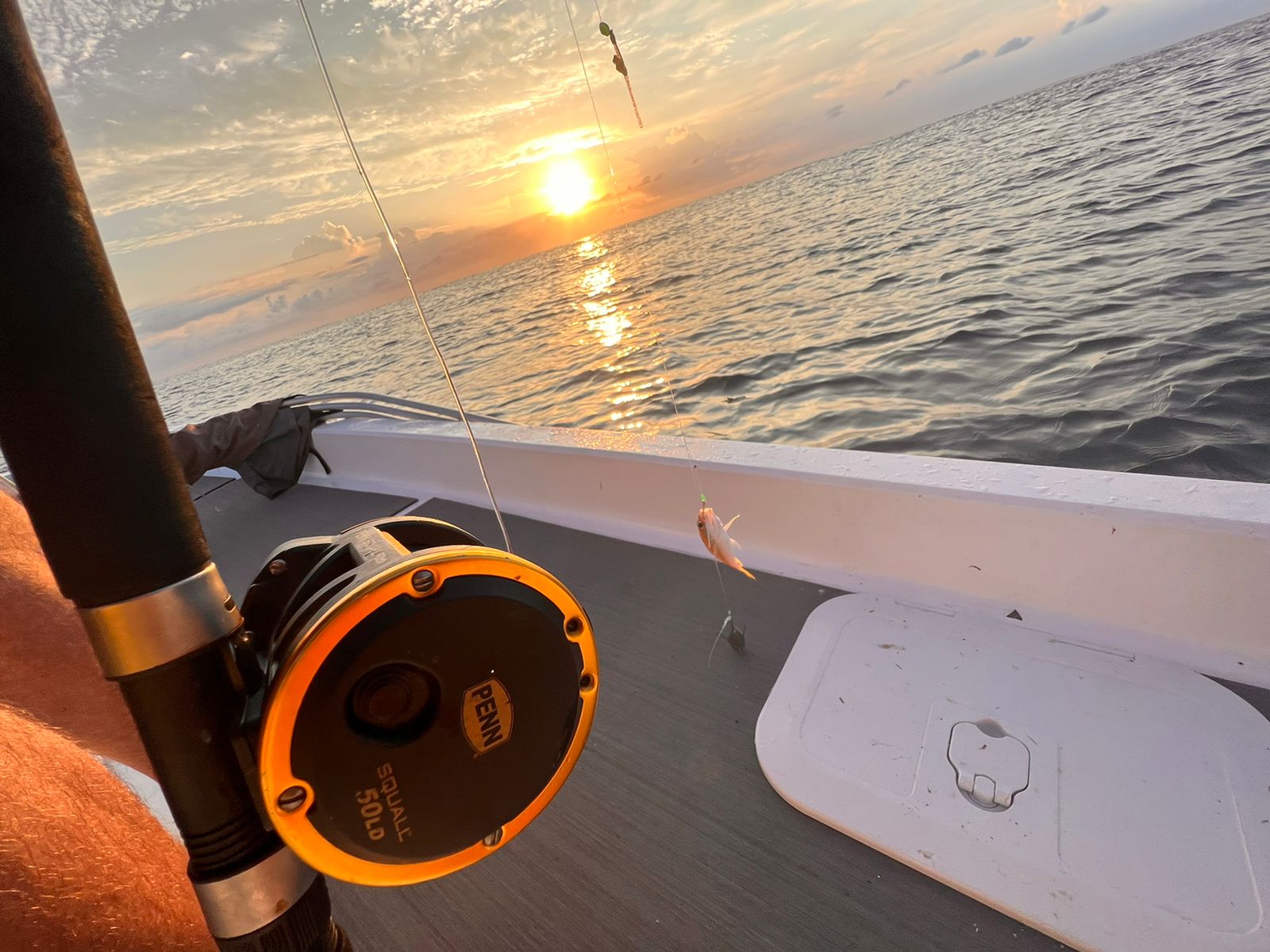 WhatsApp Image 2022-03-31 at 6.26.38 PM