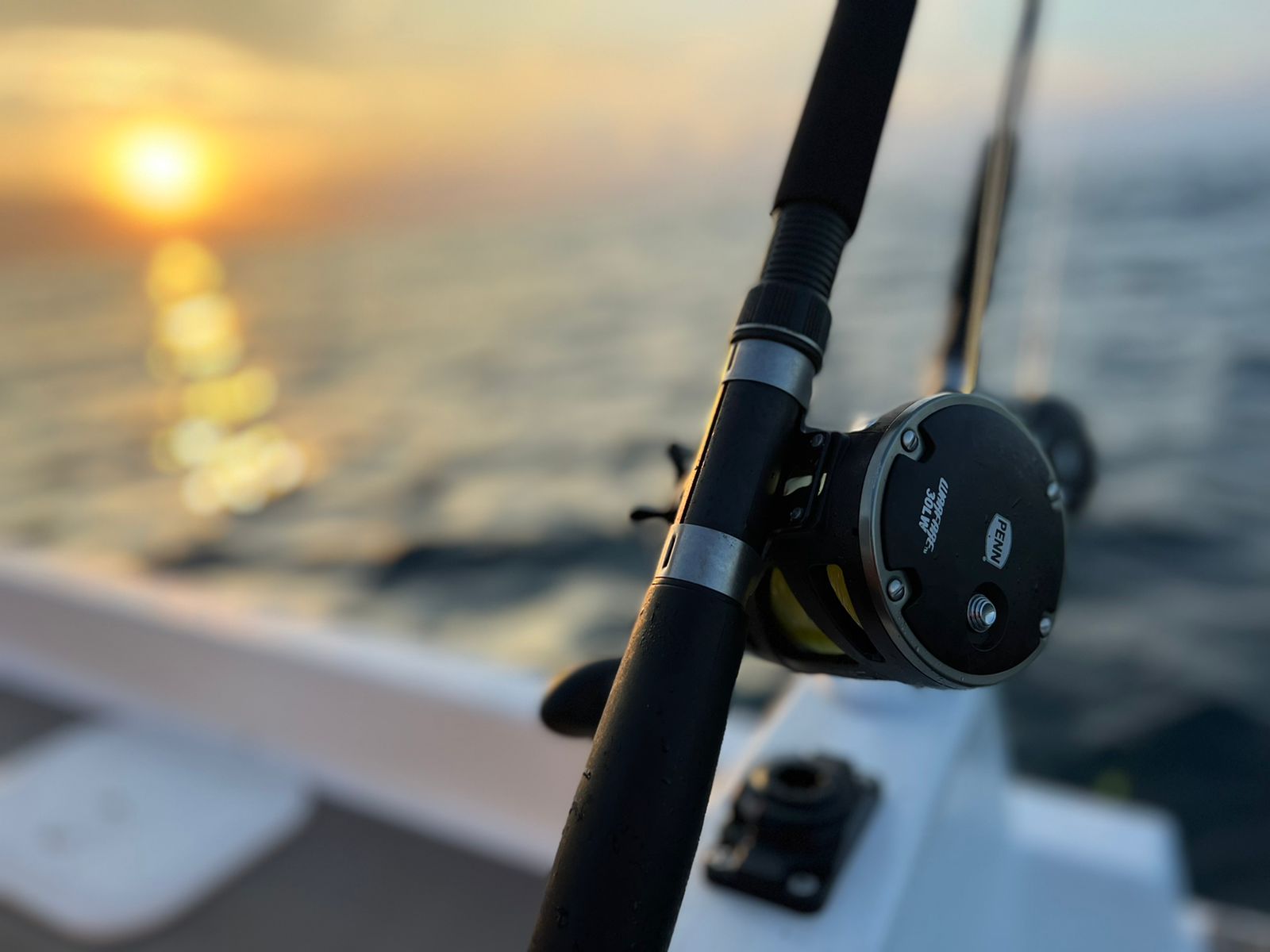 WhatsApp Image 2022-03-31 at 6.26.39 PM (1)