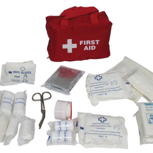 38 Piece First Aid Kit In Red Nylon Zip Bag